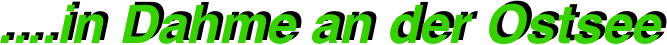                                        ....in Dahme an der Ostsee